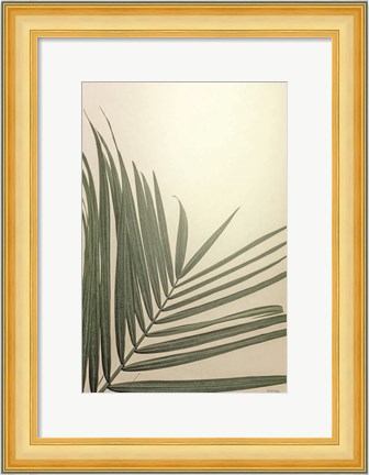 Framed Golden Hour Palm Print
