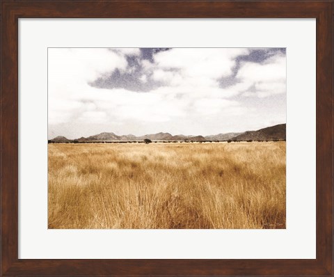 Framed Meadow Print