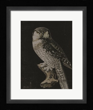 Framed Moody Owl Print