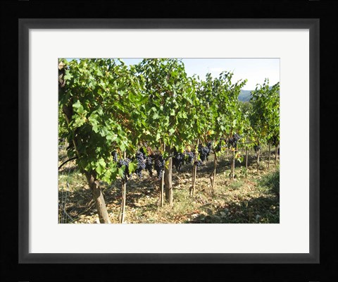 Framed Time To Harvest Print