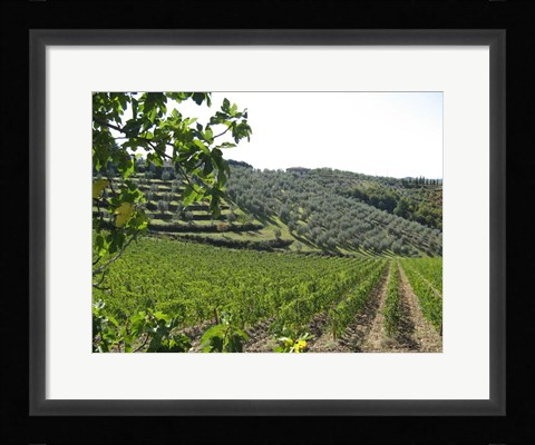 Framed Tuscan Hills Print