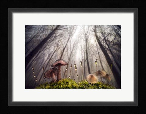Framed Small and Giant Creatures of the Woods Print