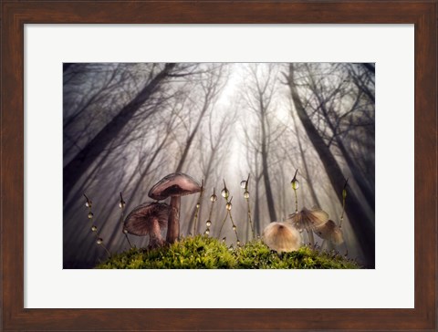 Framed Small and Giant Creatures of the Woods Print
