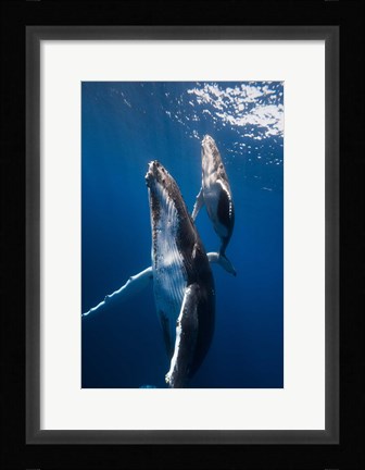 Framed Back to the Surface Print