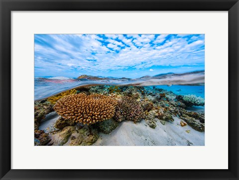 Framed Into the Lagoon! Print