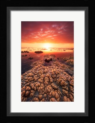 Framed Low Tide on the Lagoon of Saint Leu Print