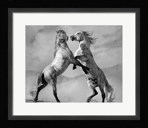 Framed Challengers Print