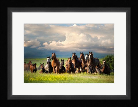 Framed Running Free II Print
