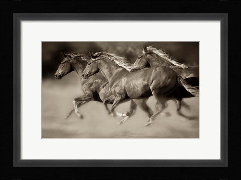 Framed Wind Runners Print