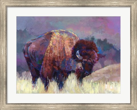 Framed Buffalo Roam Print