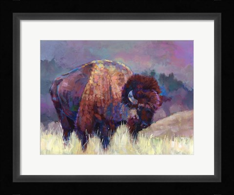 Framed Buffalo Roam Print