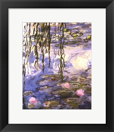Framed Waterlilies (pink flowers) Print