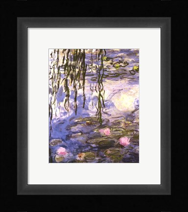 Framed Waterlilies (pink flowers) Print