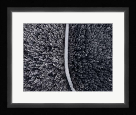 Framed Divided Print