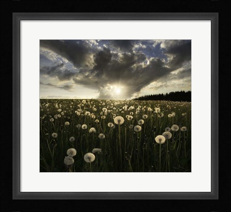 Framed Lightbulbs Print