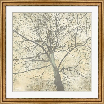 Framed Below My Tree II (detail) Print