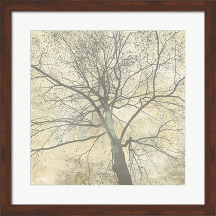 Framed Below My Tree II (detail) Print