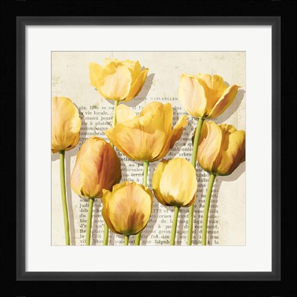 Framed Histoires de Tulipes (detail) Print