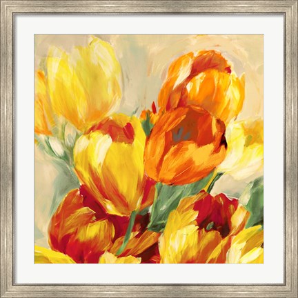 Framed Tulips in the Sun I Print