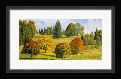 Framed Autumn in Quebec Print