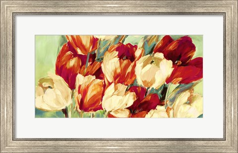 Framed Red &amp; White Tulips Print