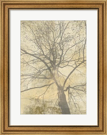 Framed Below My Tree I Print
