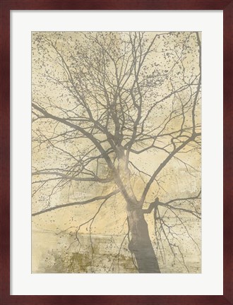 Framed Below My Tree I Print