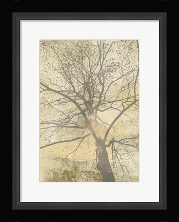 Framed Below My Tree I Print