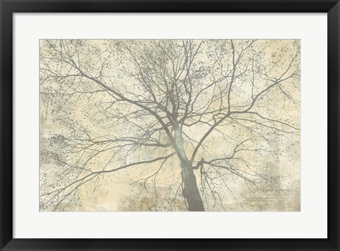 Framed Below My Tree II Print