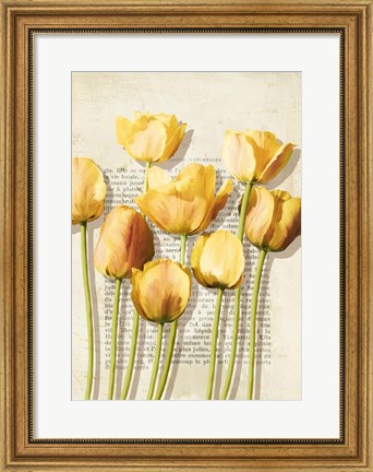 Framed Tulipes et Histoires Print