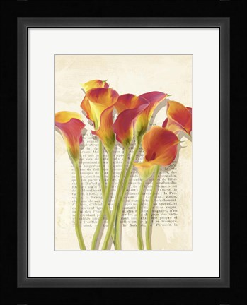 Framed Callas et Histoires Print