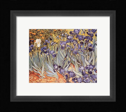 Framed Irises in the Garden, Saint-Remy, c.1889 Print