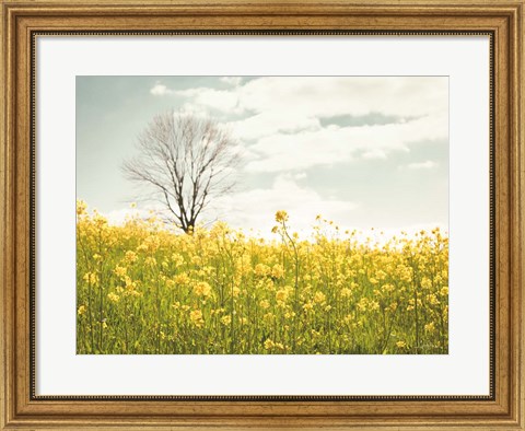 Framed Yellow Meadow Print