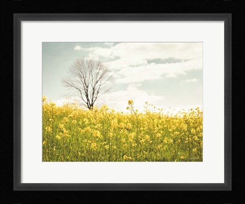 Framed Yellow Meadow Print
