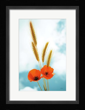 Framed Wild Poppies Print