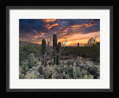 Framed Sunset Moonrise Print