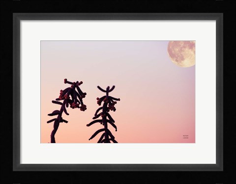 Framed Moon Desert Print