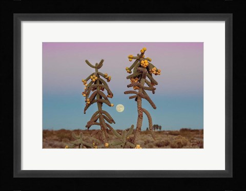 Framed Desert Moonrise Print