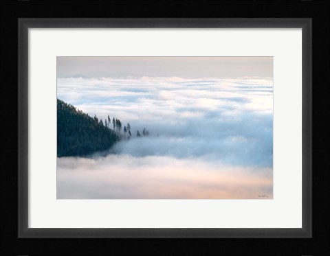 Framed Fog and Forest III Print
