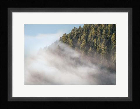 Framed Fog and Forest I Print