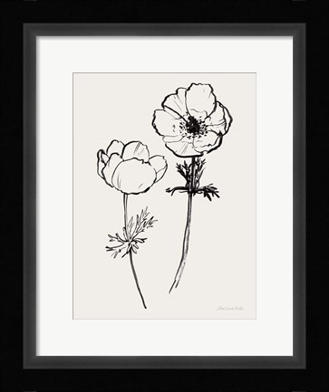 Framed Ink Anemones II Black Print