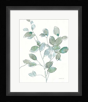 Framed Transparent Branch Eucalyptus Print