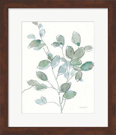 Framed Transparent Branch Eucalyptus Print