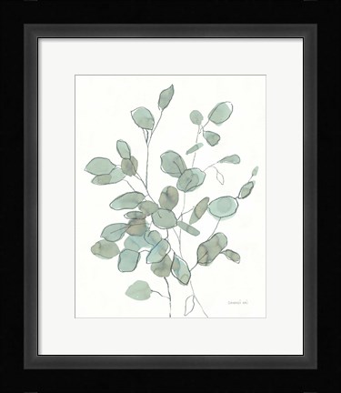 Framed Transparent Leaves Eucalyptus Print
