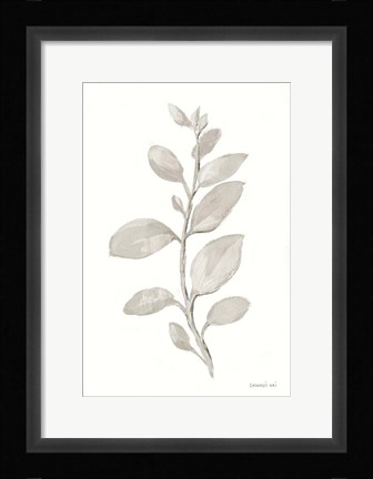 Framed Gray Sage Leaves II on White Print