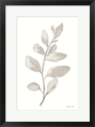 Framed Gray Sage Leaves I on White Print
