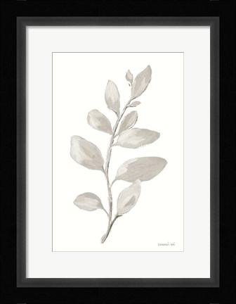 Framed Gray Sage Leaves I on White Print