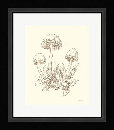 Framed Nature Sketchebook IX Brown Print