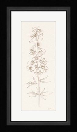 Framed Delphinium I Print