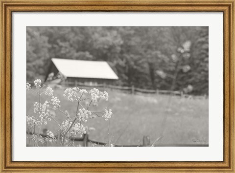 Framed Summer Farm III BW Print